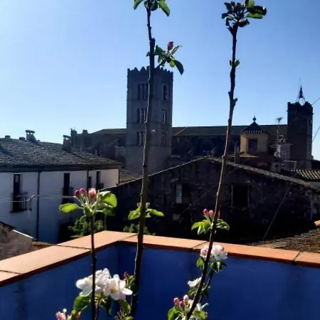 The Blue House Of Costa Brava Leni's Attic *